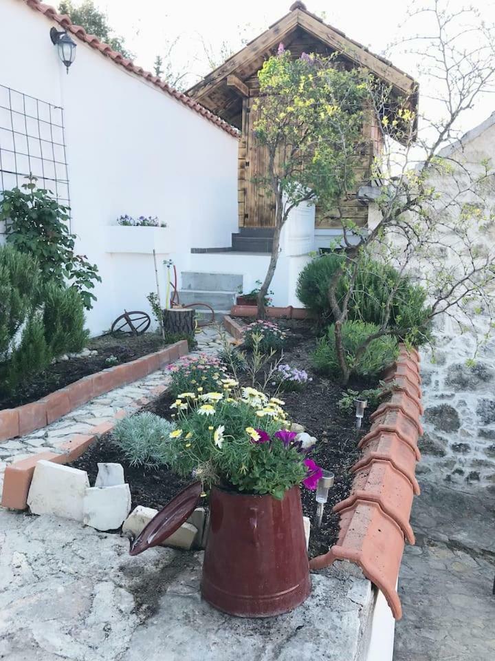 Villa Dalmatinska Kuca Terace à Skradin Extérieur photo