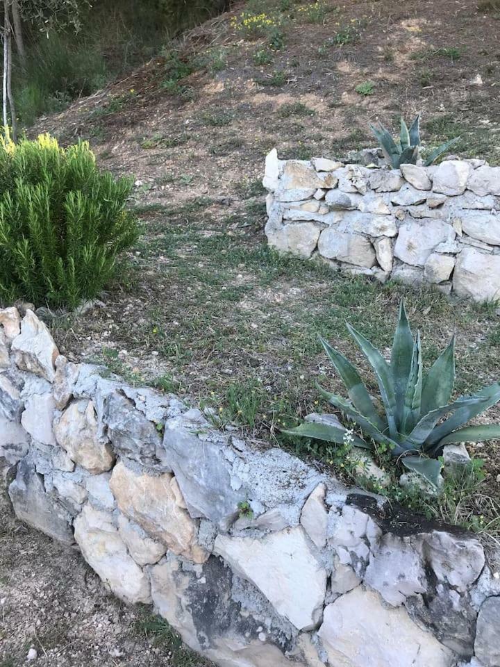 Villa Dalmatinska Kuca Terace à Skradin Extérieur photo