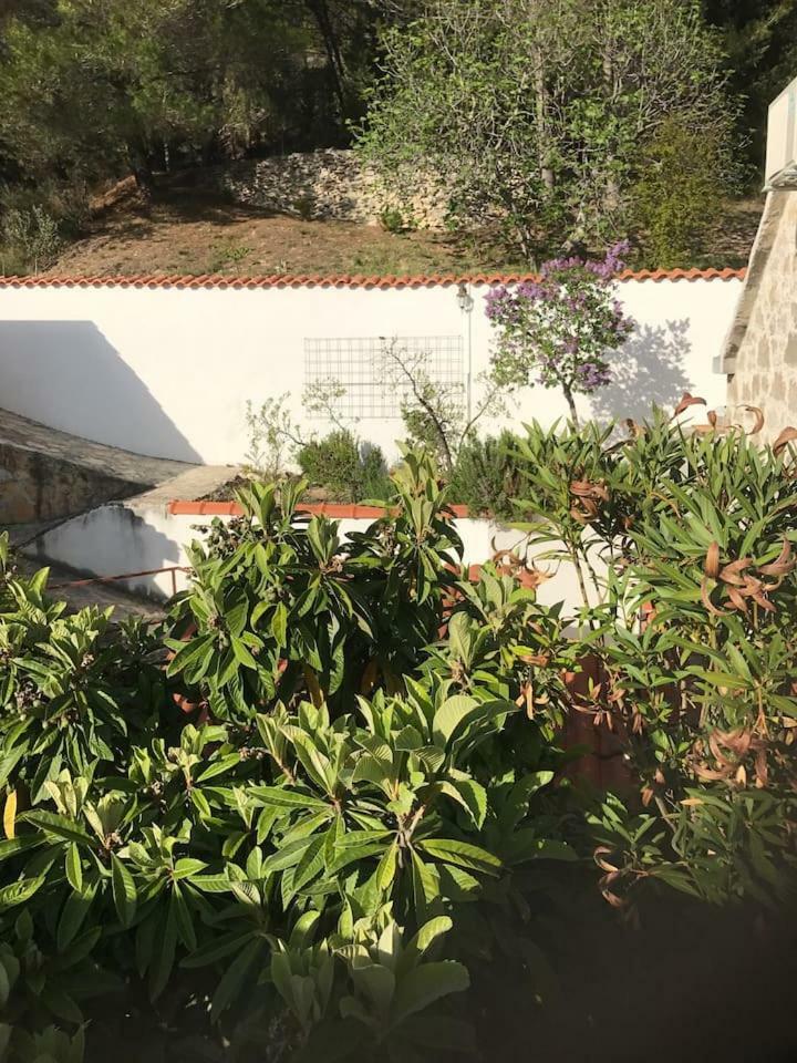 Villa Dalmatinska Kuca Terace à Skradin Extérieur photo