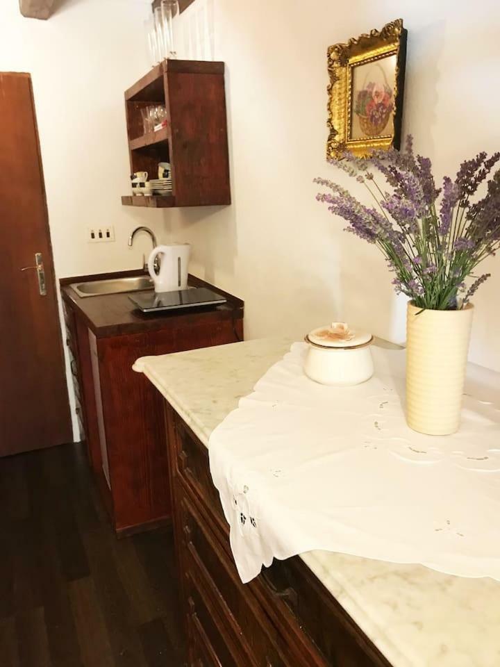 Villa Dalmatinska Kuca Terace à Skradin Extérieur photo