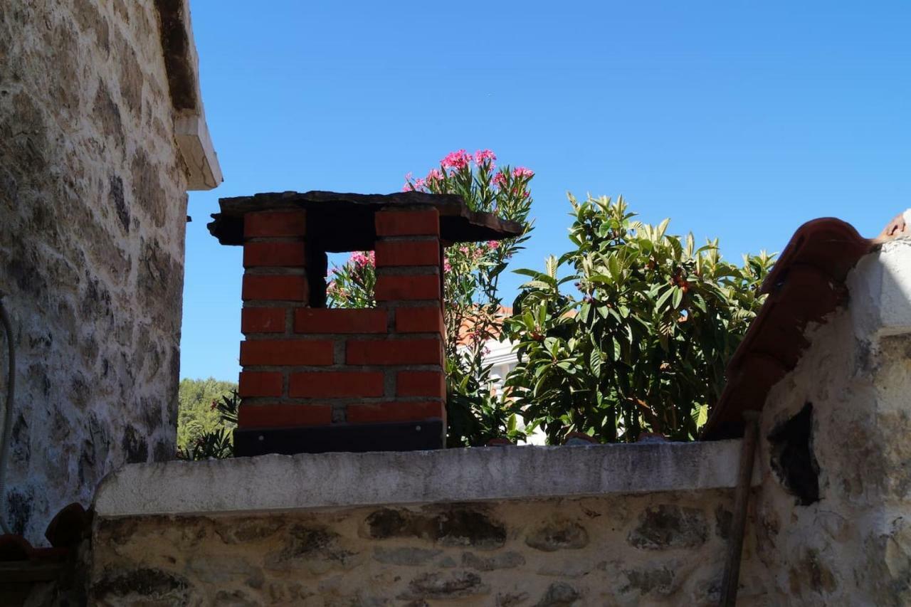Villa Dalmatinska Kuca Terace à Skradin Extérieur photo