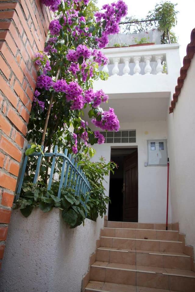Villa Dalmatinska Kuca Terace à Skradin Extérieur photo